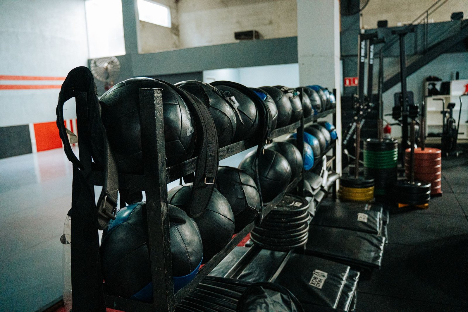 Musculation