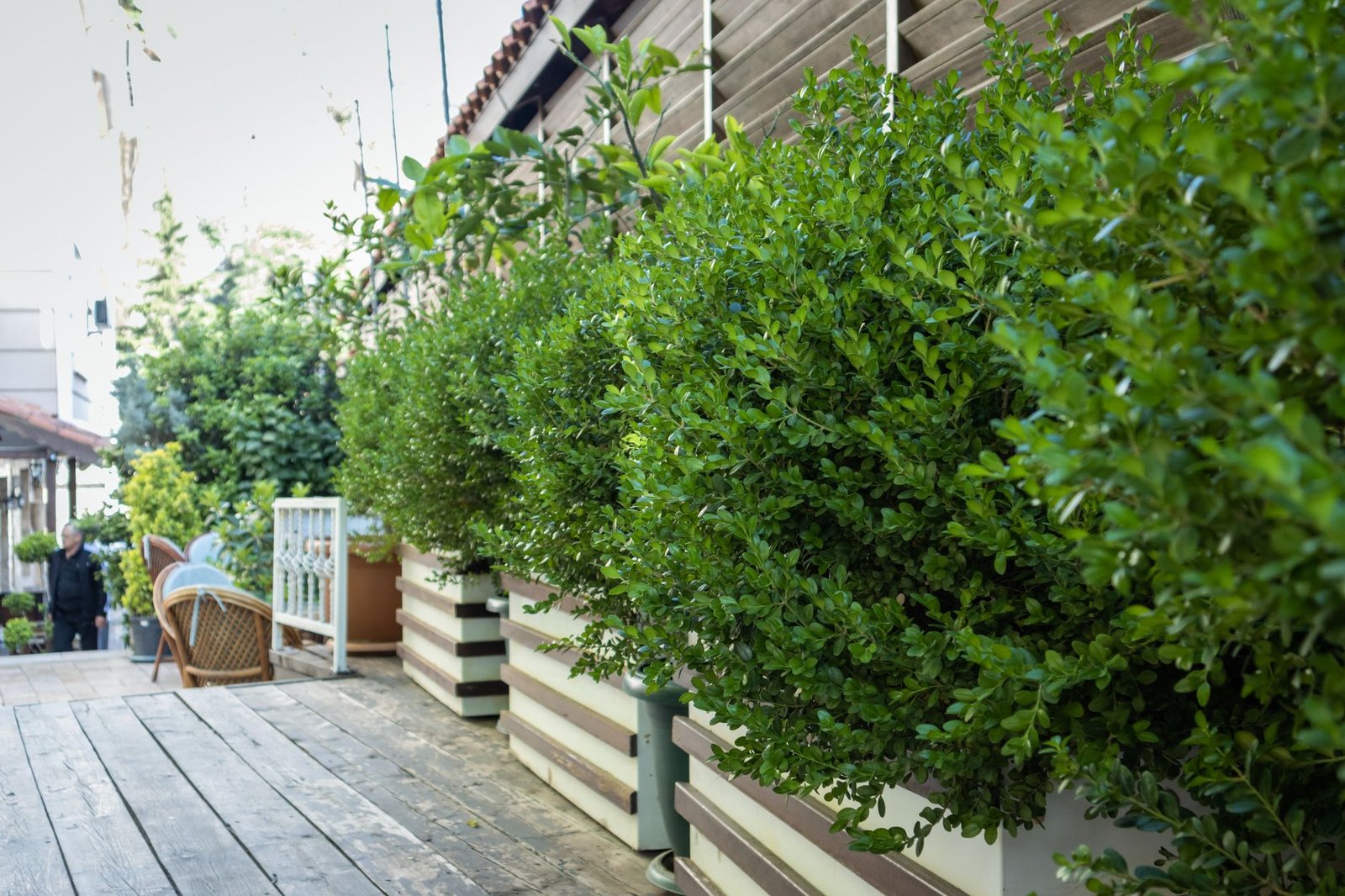 Terrasses & allées