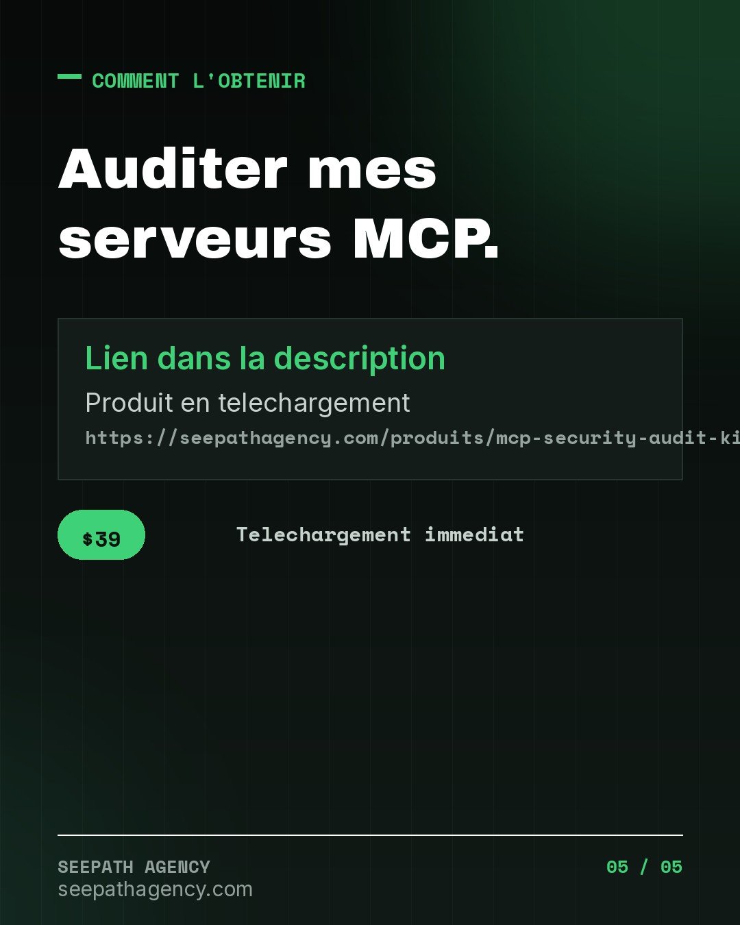 MCP Security Audit Kit v1.0.0